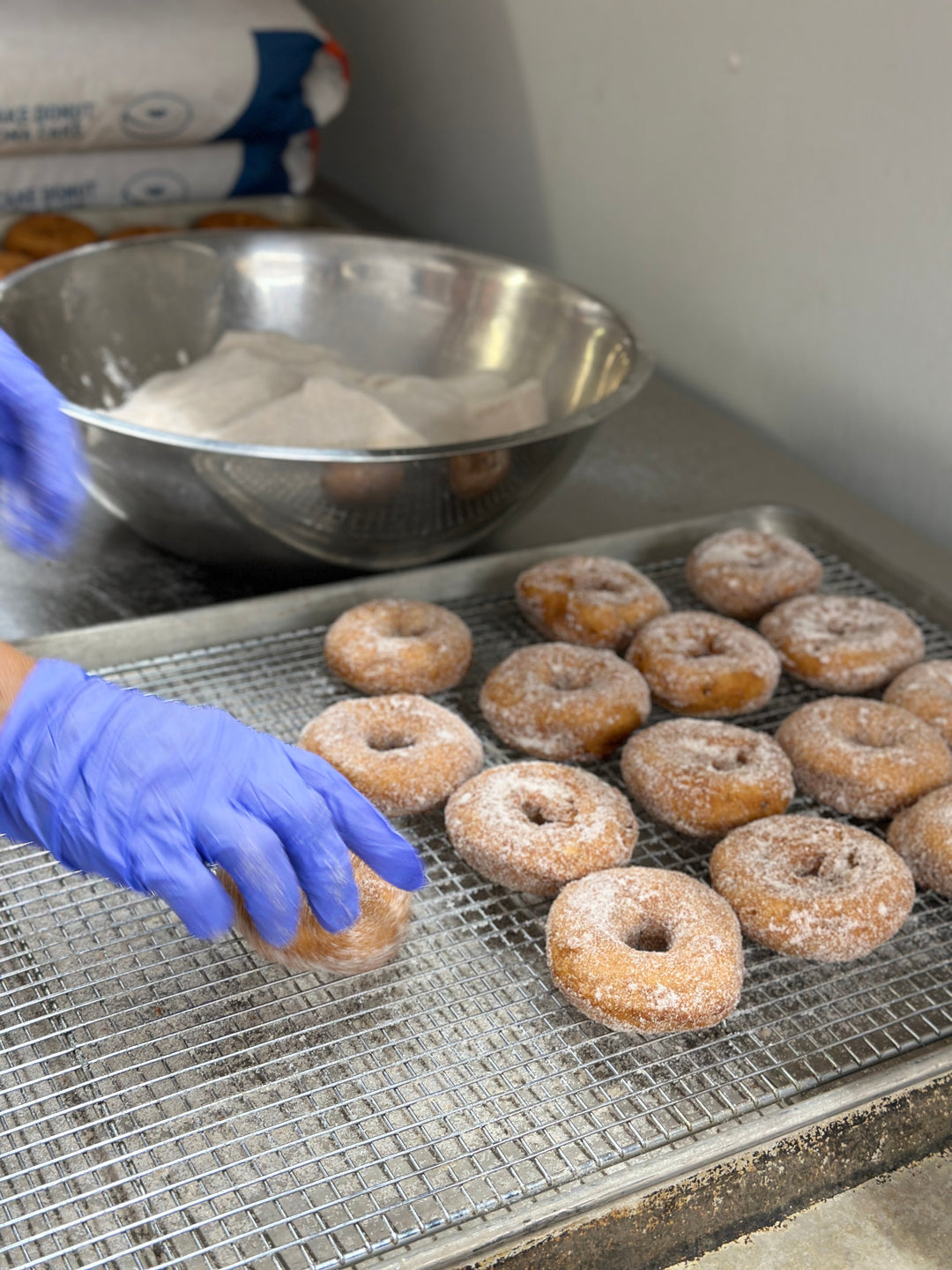 Fresh apple cider donuts being made at Kickapoo Orchard Bakery in Gays Mills, Wisconsin