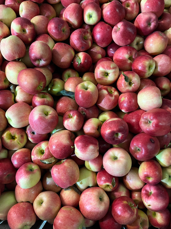 Ambrosia Apples