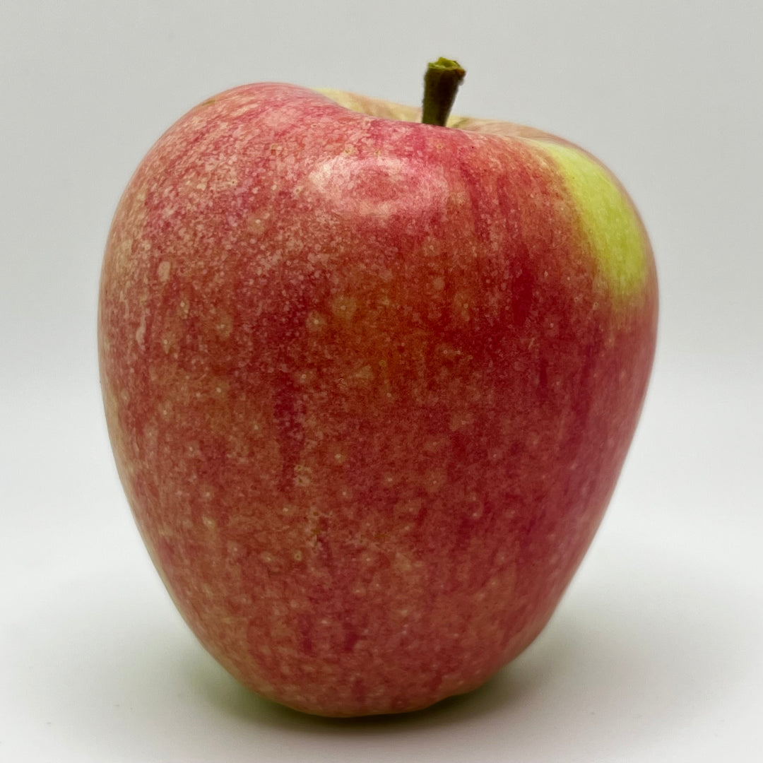 Early Strawberry Apples