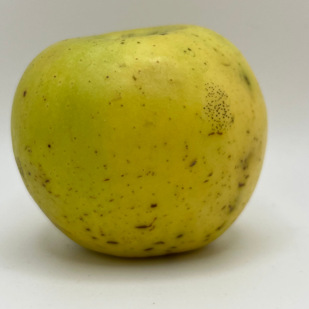 Tolman Sweet Apples