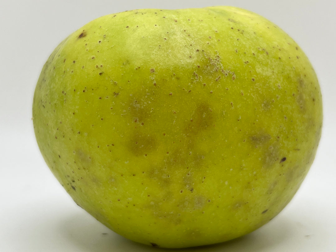 North West Greening Apples