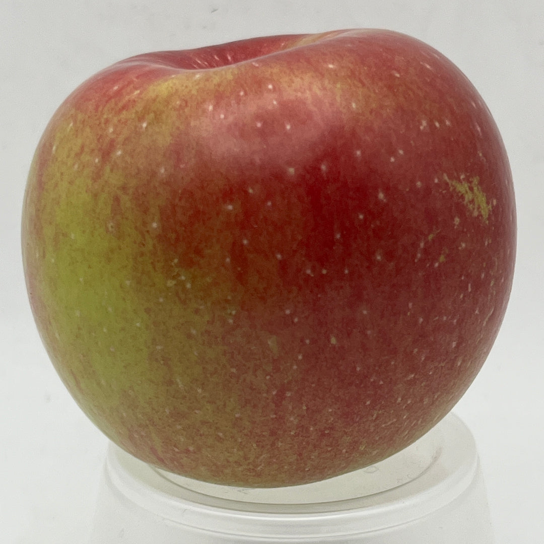 Lura Red Apples