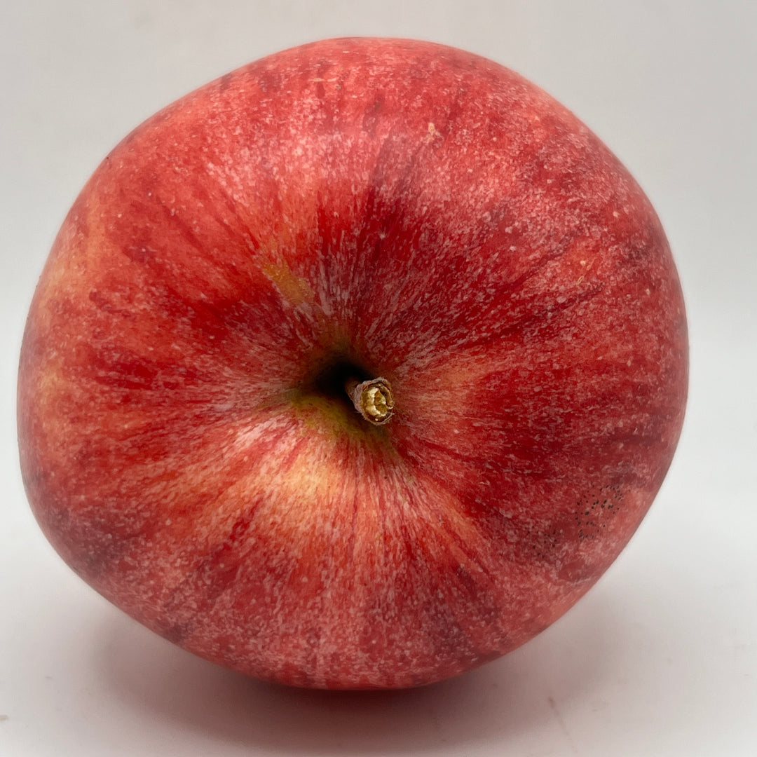 Early Strawberry Apples