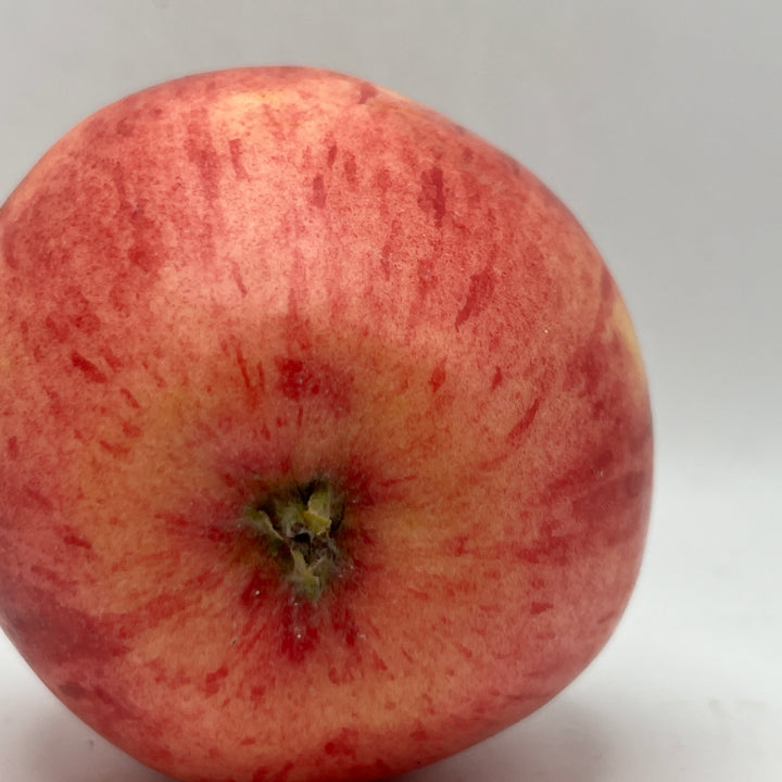 Early Strawberry Apples