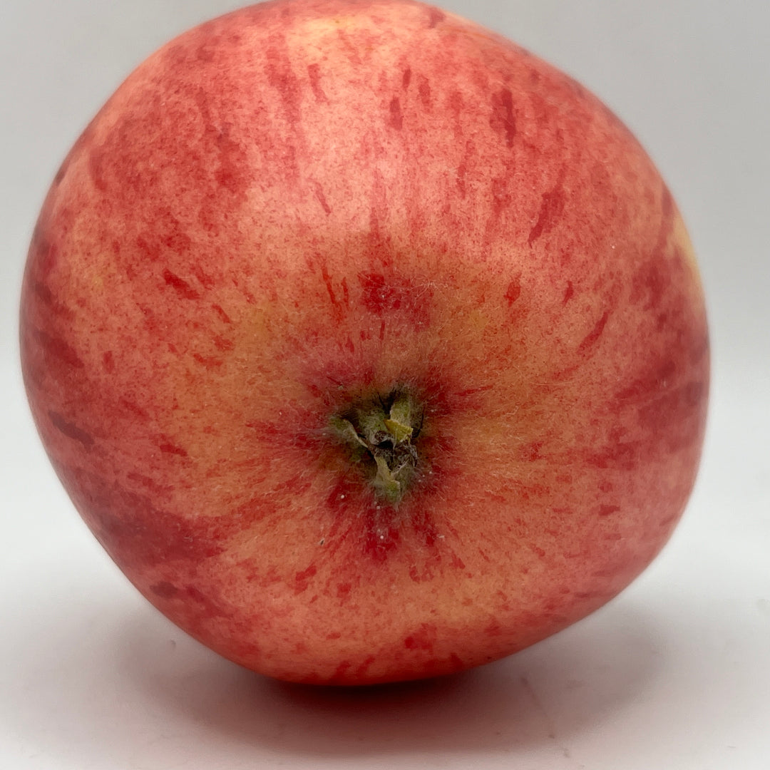 Early Strawberry Apples