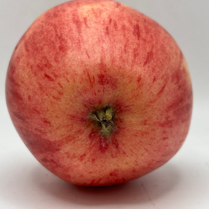 Early Strawberry Apples