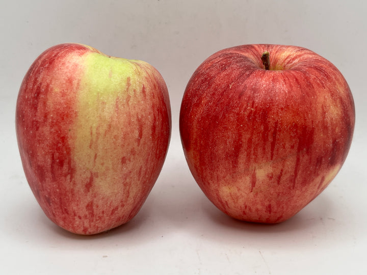 Early Strawberry Apples