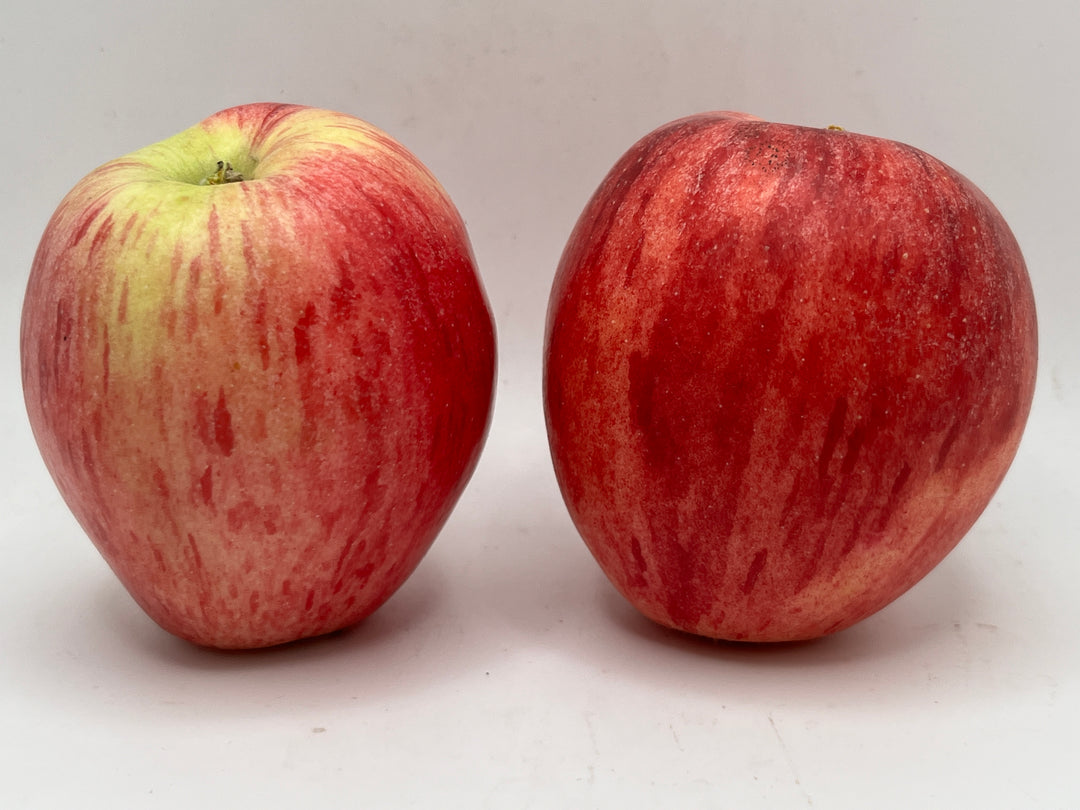 Early Strawberry Apples