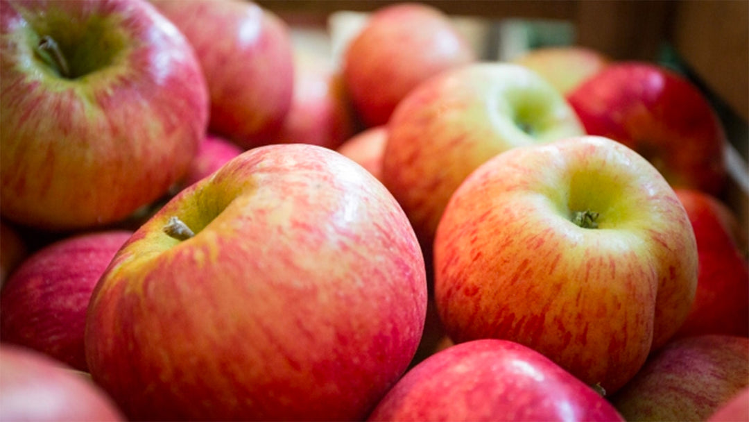 Jonamac Apples