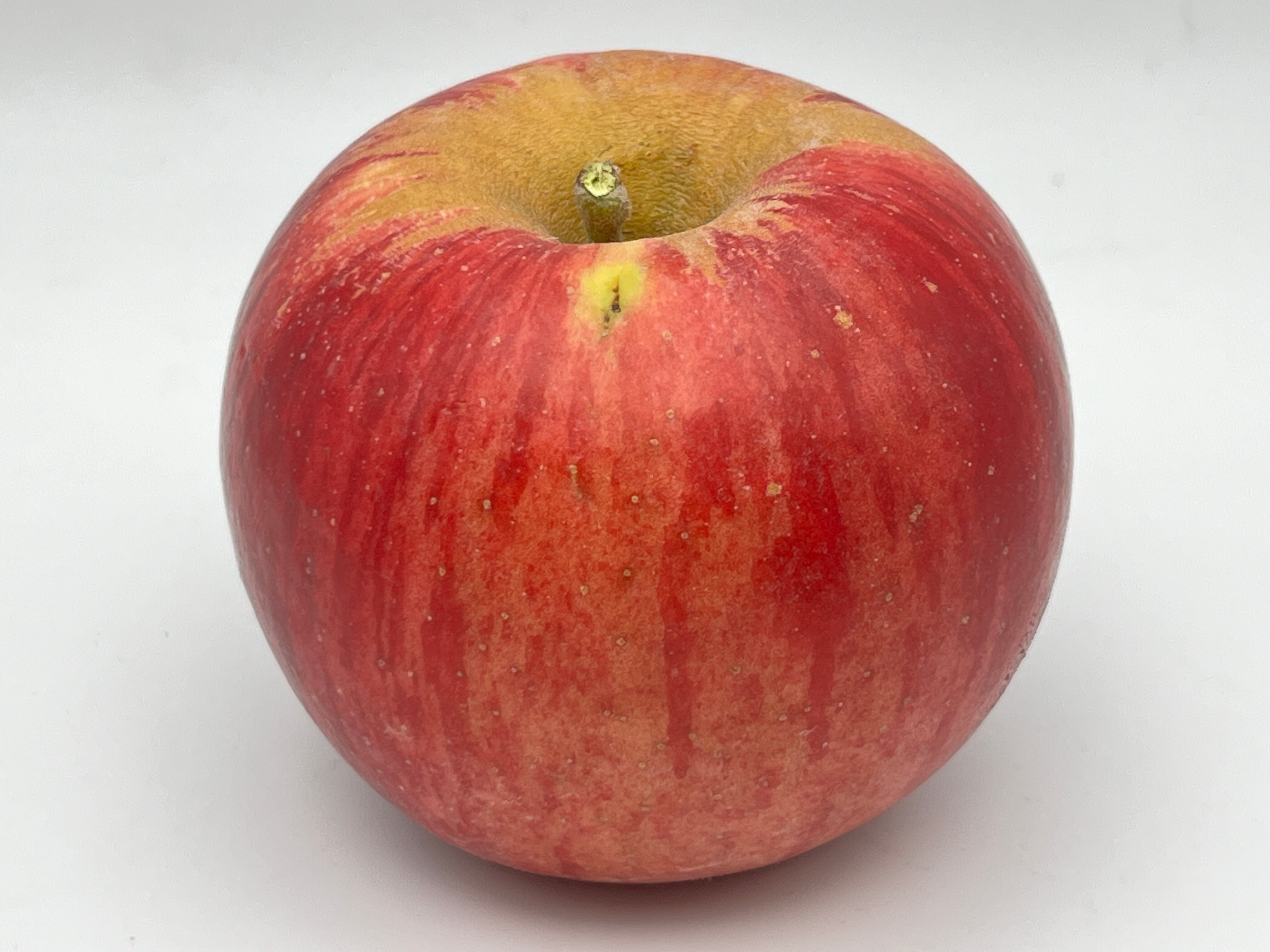 Apple - kobayashi Tsugaru Apples | Sweet & Crisp Japanese Variety | Kickapoo Orchard