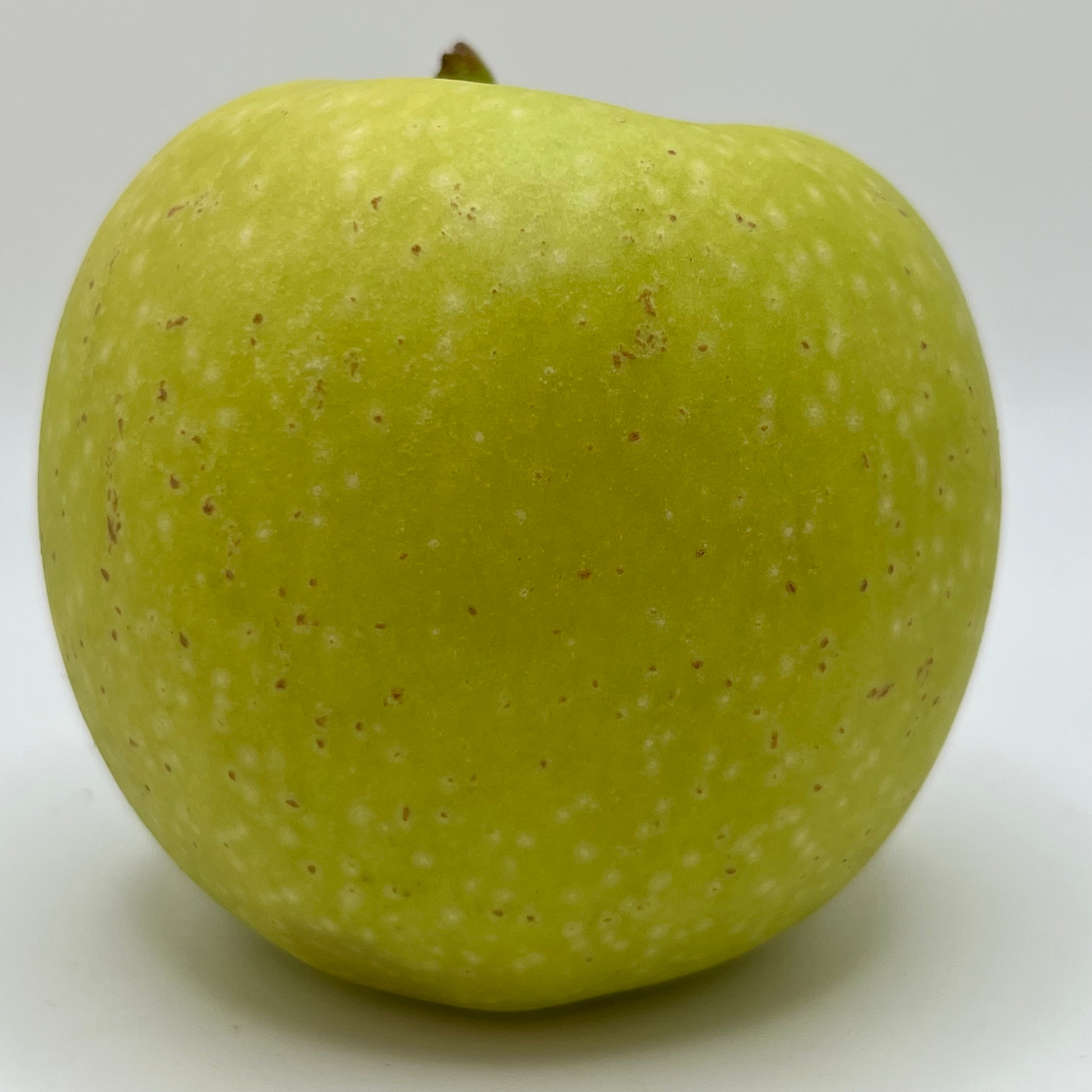 Grimes Golden Apples | Gays Mills WI Apple Orchard | Kickapoo