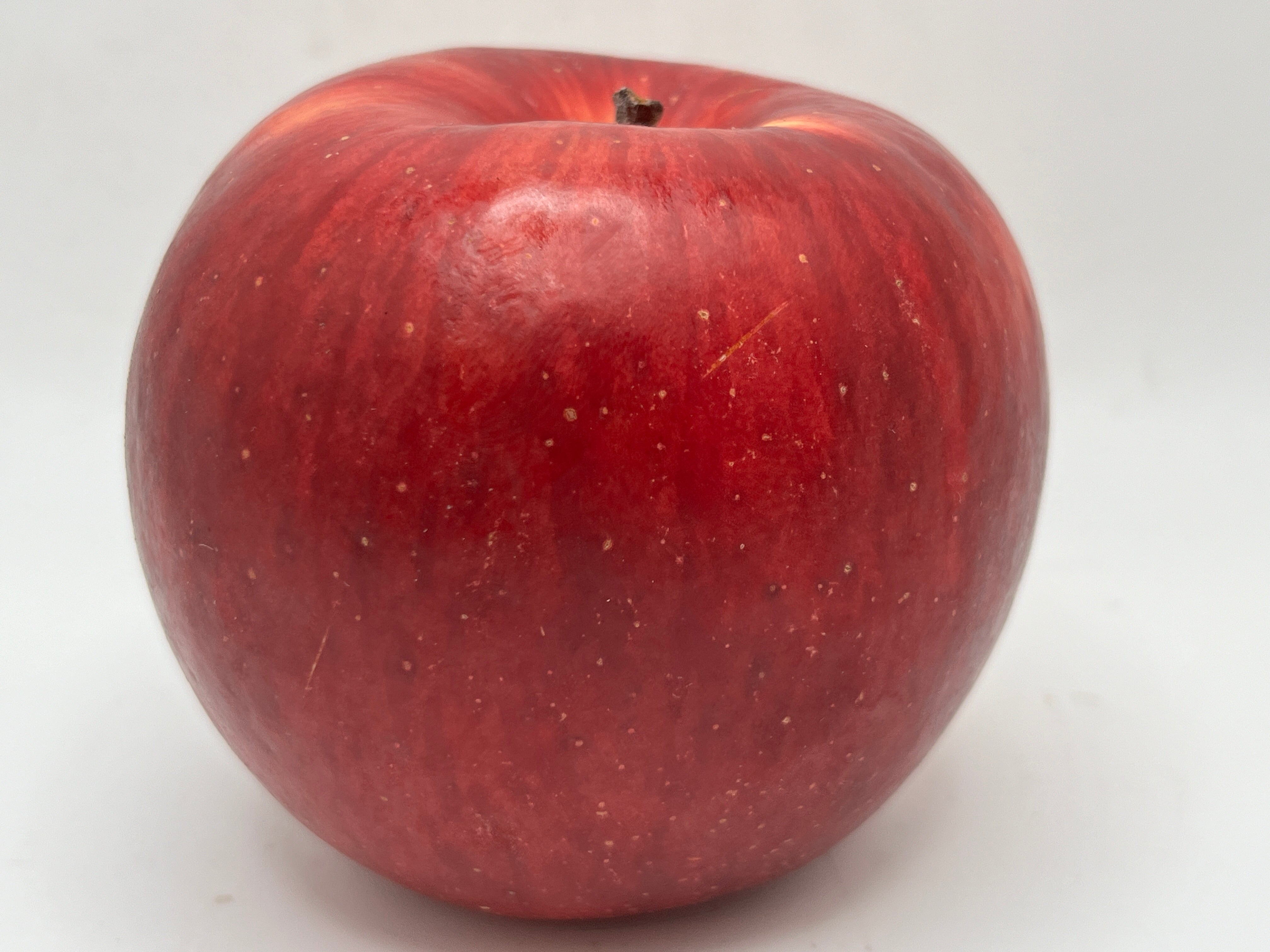 Apple - jami ◎ Jungle Boys | Apple Jam - 3.5g Flower Jar - Jungle Boys