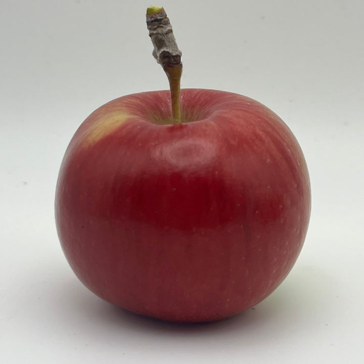 Redfree Apple