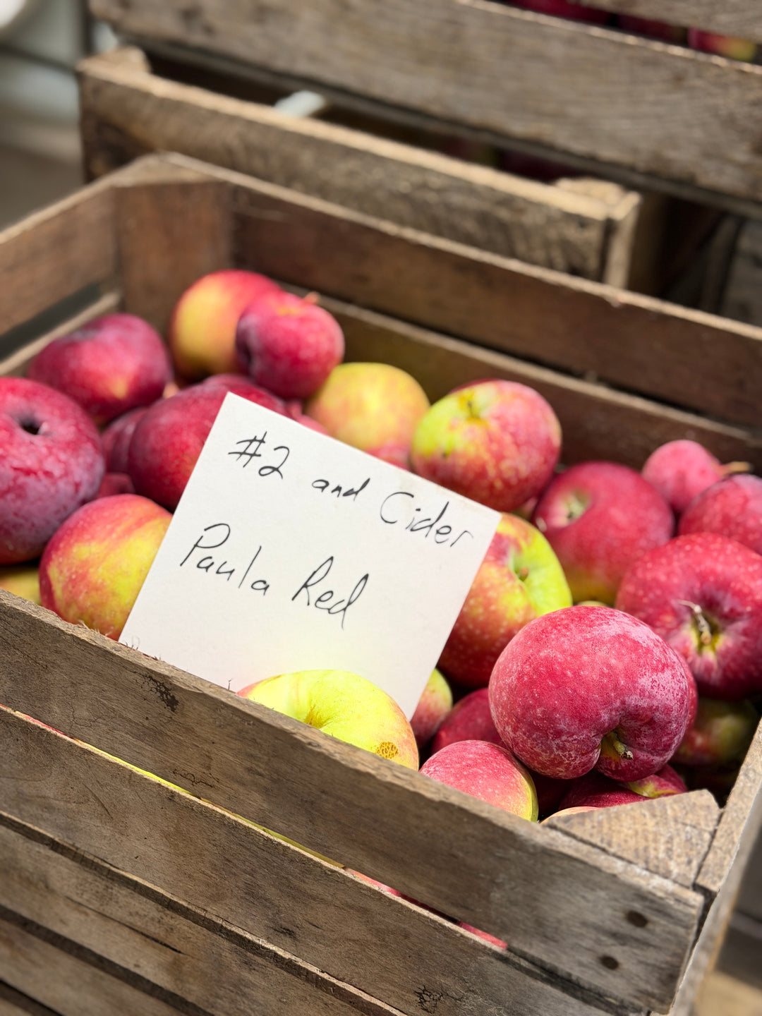 Paula Red Apples