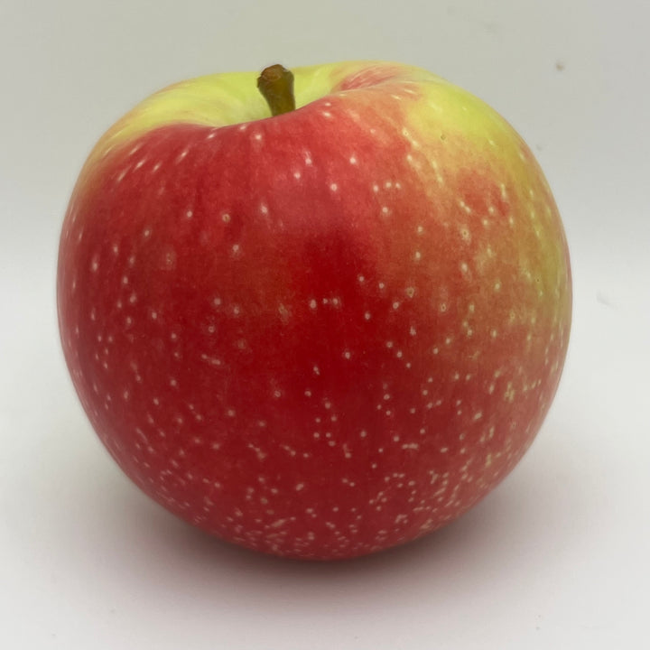 Zestar!® Apples