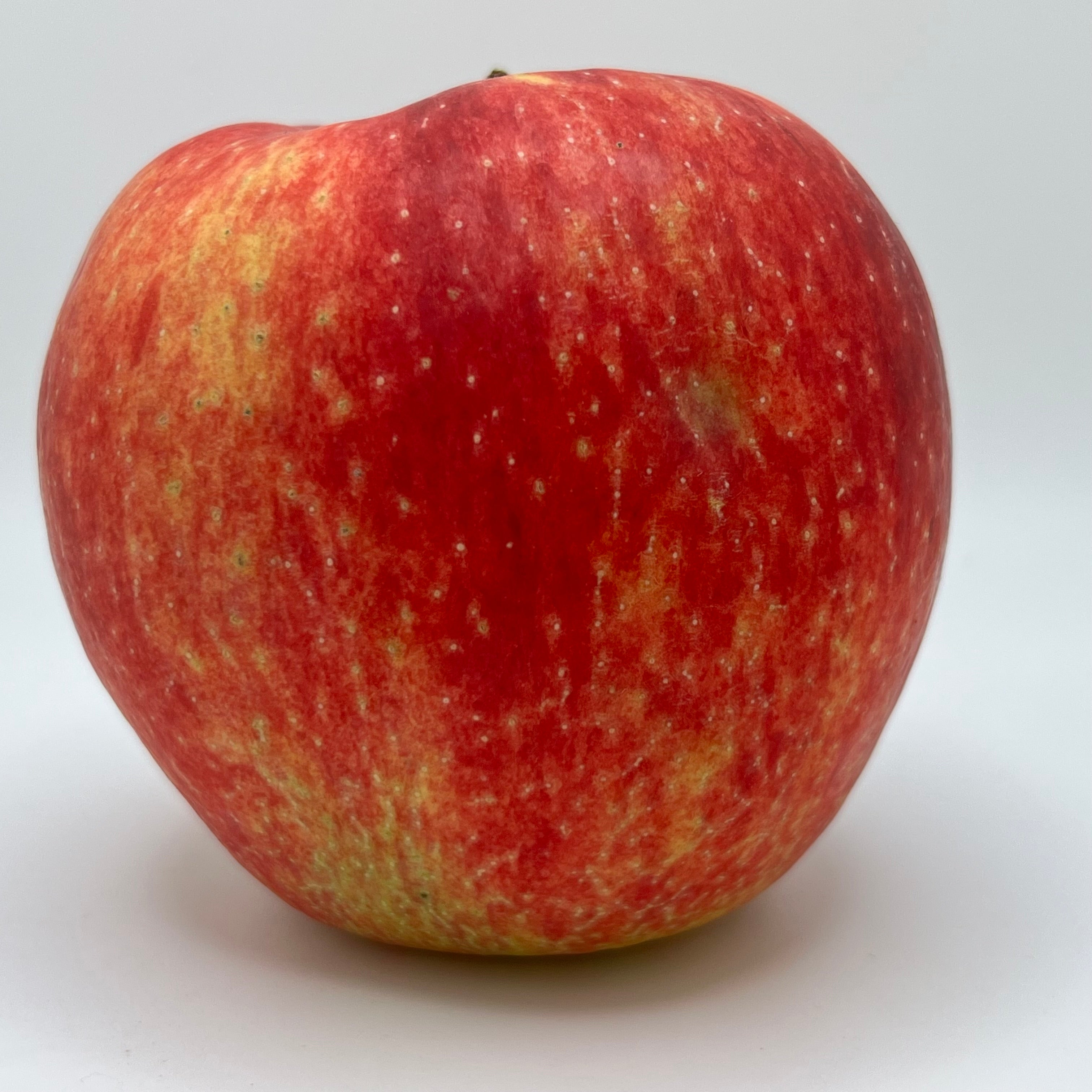 Pazazz Apples | Sweet, Crisp Honeycrisp Descendant | Kickapoo Orchard ...