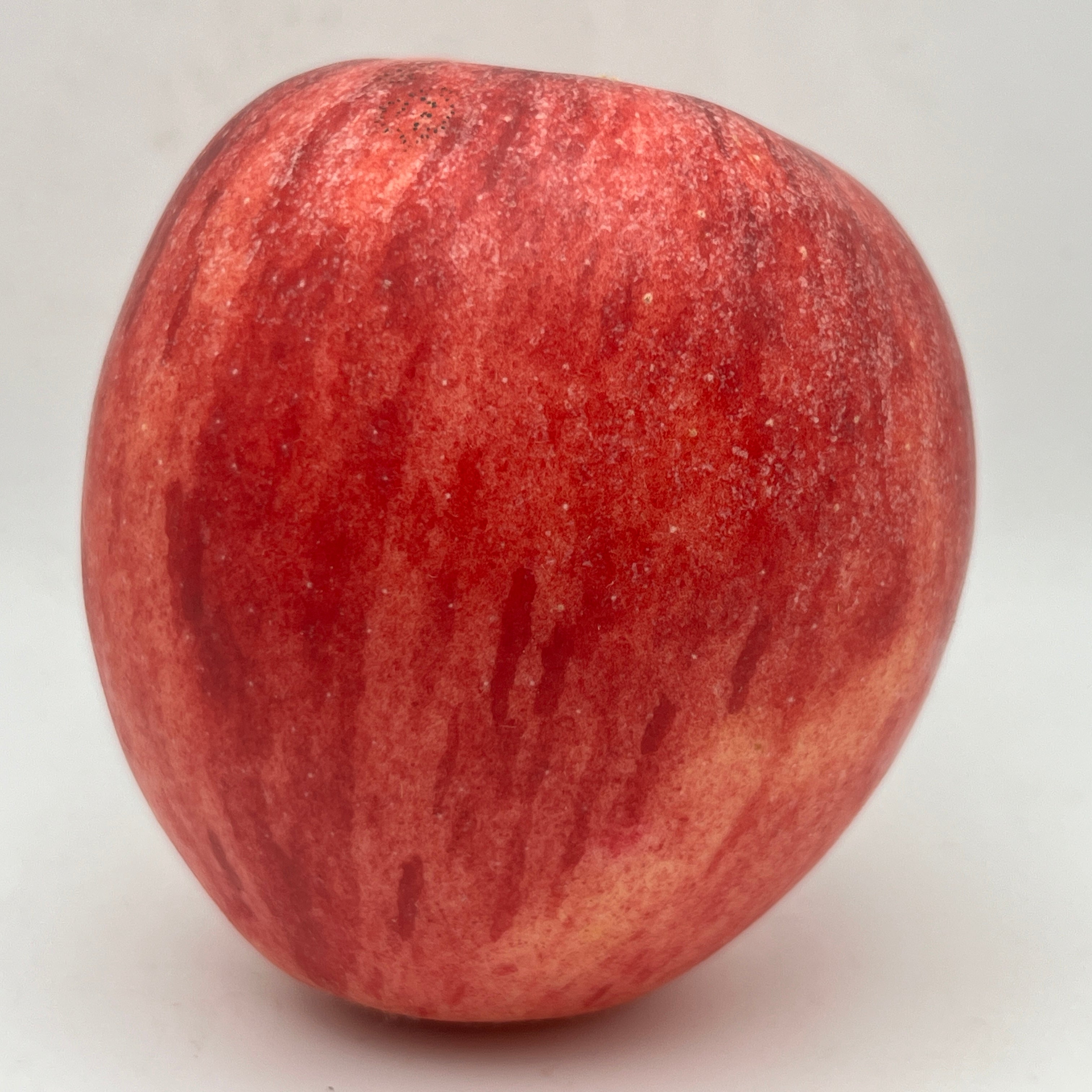 Early Strawberry Apples | Sweet Early-Season Variety | Kickapoo