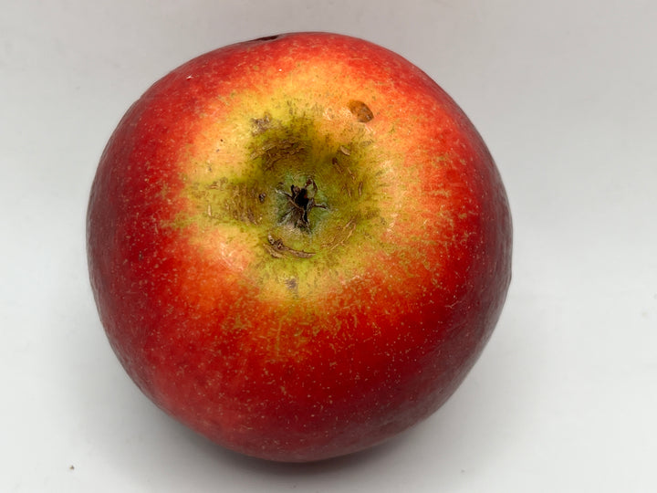 Crimson Crisp Apple