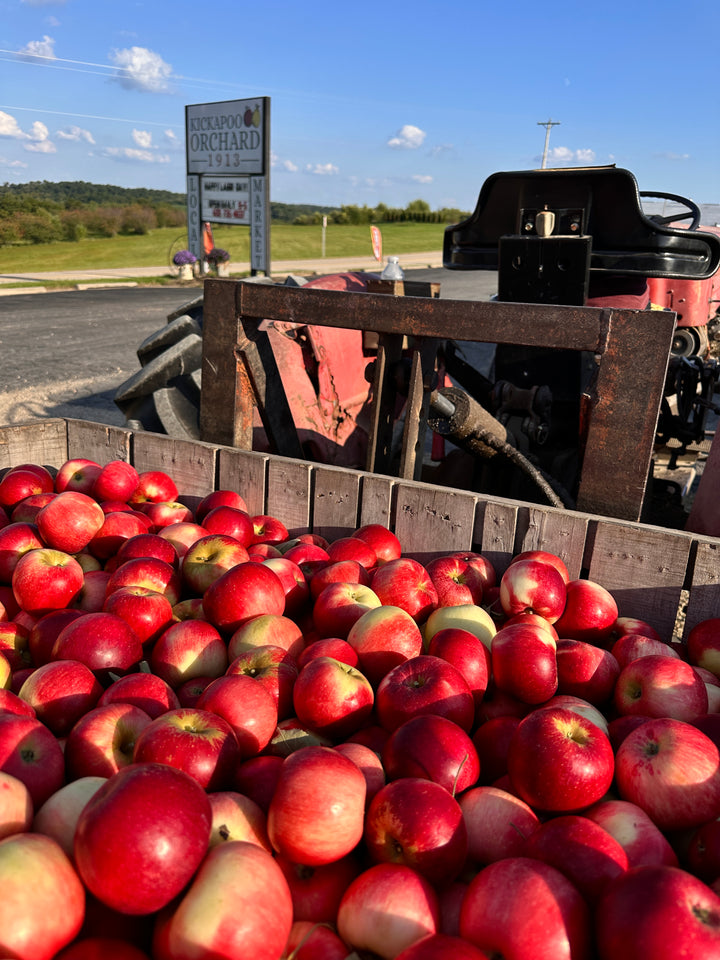 1913 Orchards Heritage Apple Cider