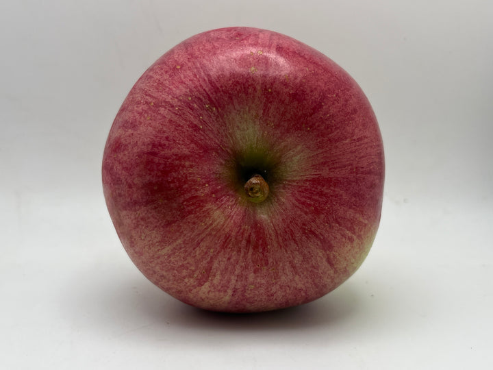 Bonnie's Best Apples