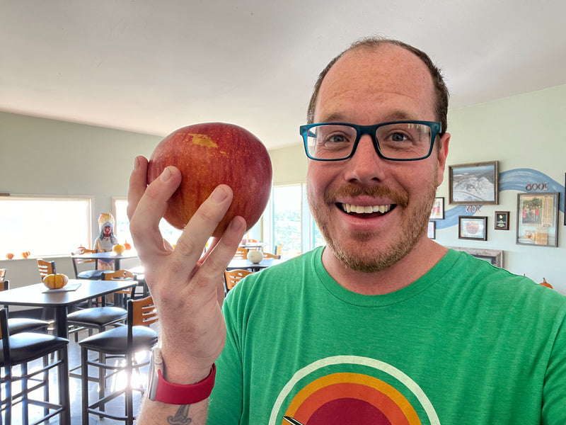 Order the Fireside Apples apple tree from Roots to Fruits Nursery