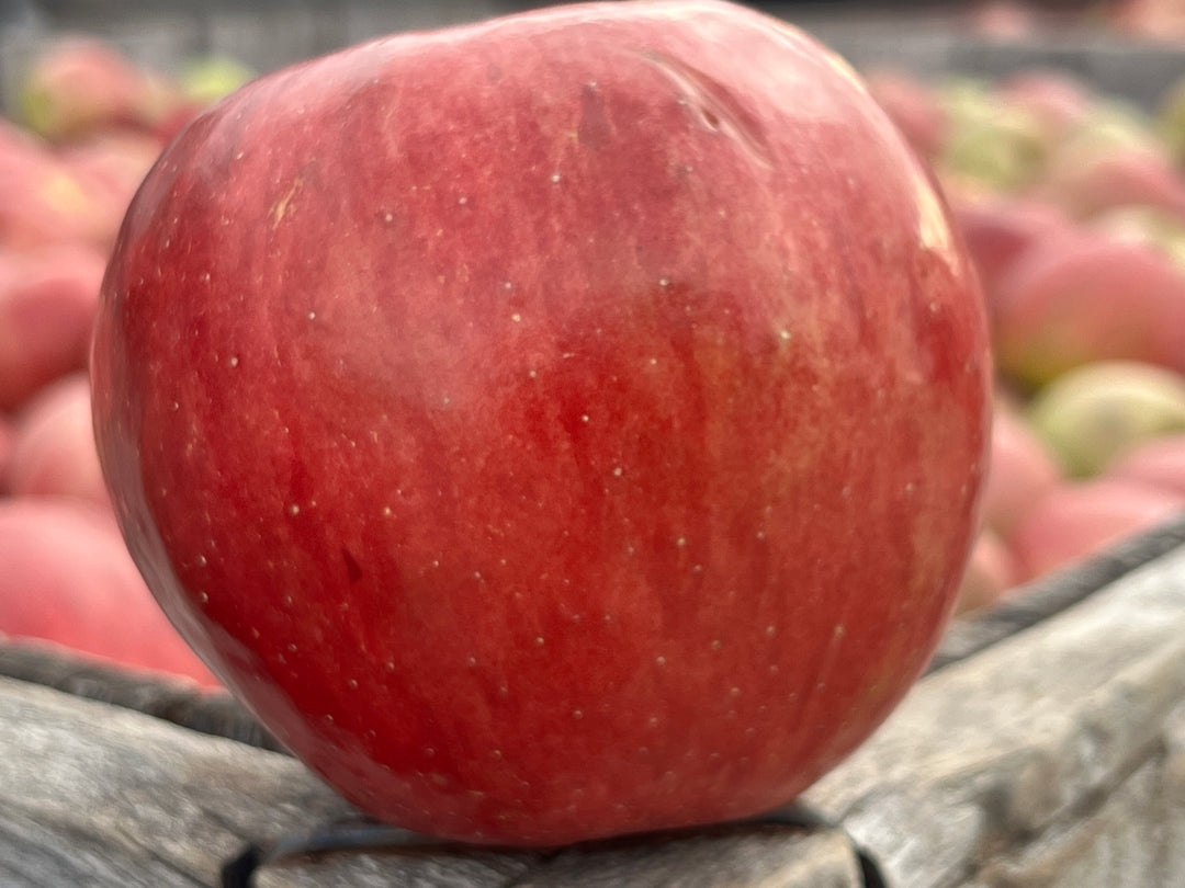 Sweet Sixteen Apples