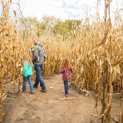 1913 Kickapoo Orchard